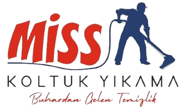 Alanya Koltuk Yıkama | Profesyonel ve Hijyenik Temizlik – Miss Alanya